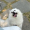 서서 츠