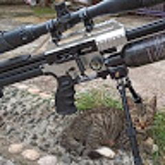 Sae Airguns
