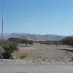 Fareedah Paula Payne