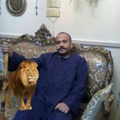 شحته السنتريسى