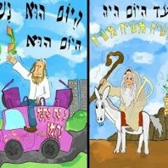 חיים הכהן