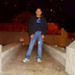 ALEJANDRO PALOMINO