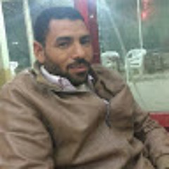 محمد الشرقاوي