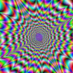 Tsm_manyloca29Yt
