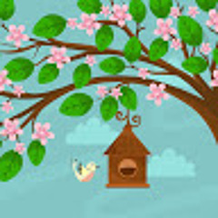 Rana Amjad