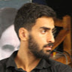 mohamadreza fatemi