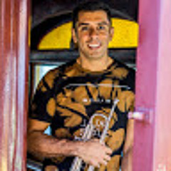 Henrique Magalhaes Silva