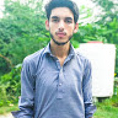 awais world