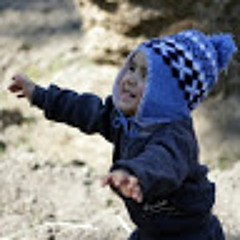 noor. 313