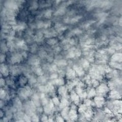 いちむら かいな