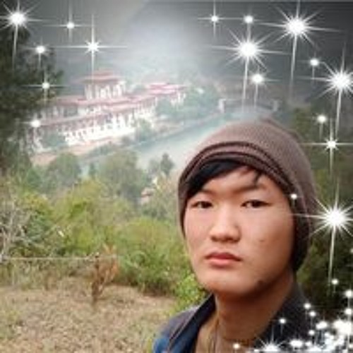 Ugyen Wangchuk’s avatar