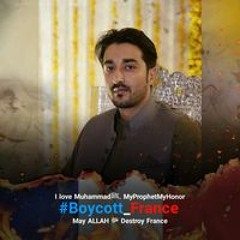Muhammad Waleed Ramay