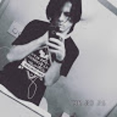 alexander modern Omnie