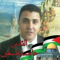 محمد طلعت