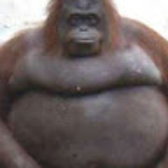 Ali