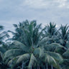 Deks Yucatan