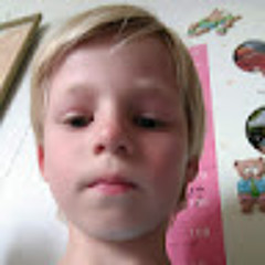 Otto Vilnis Reneslacis