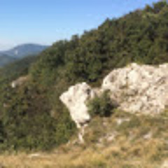 Bolla
