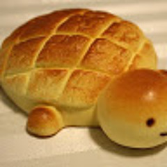 Bread Turtle