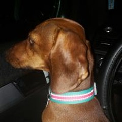 George Washington King IV