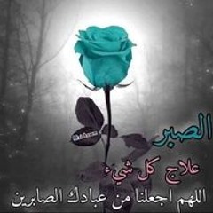 Hanen Elaraby