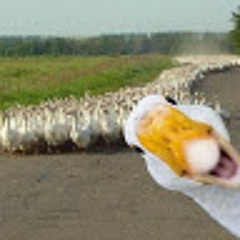 Deugi
