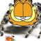 Garfield spider