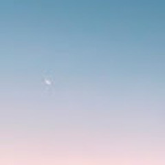 하율