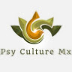 Psy Culture Mx