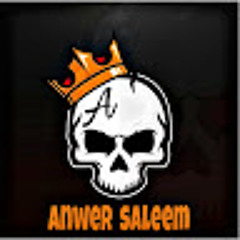 Anwer saleem