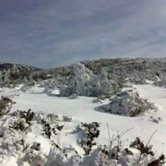 Steven Park