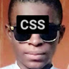 CSS INSPIRE