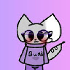 buddy the female cat