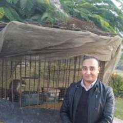 محمد بك صابر