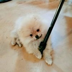 박가영