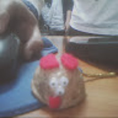 Mikel González Collantes