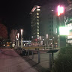 lotsandlotsoftylenol