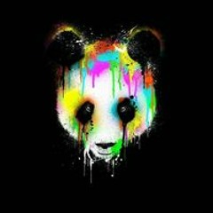 xxpanda