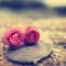 Abeer Hamdy