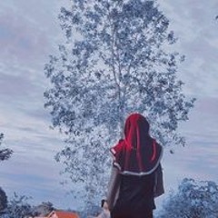 Dwi Ariyanti