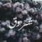 Shiroq Shaban
