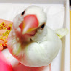 つくね