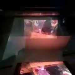 廖紘毅