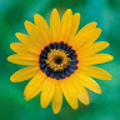 كن إيجابيًا