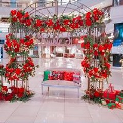 فارس ابانوب