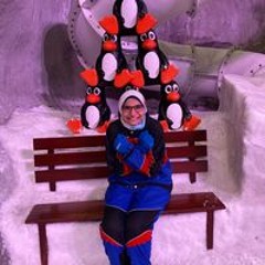 Aya Fouad