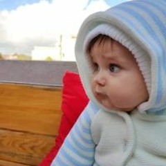 أحمد سعيد الشيخ