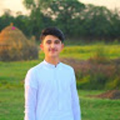 Yahya Wali