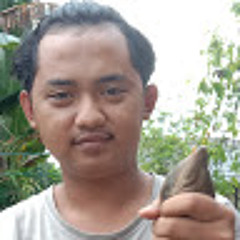 Ipan Ipan