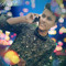 Rasel Ahmed